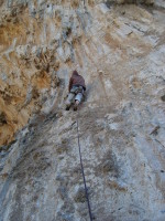 SNV80417.JPG